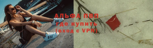 ешки Гусев